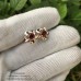 HOA TAI VÀNG  18K ĐÁ CHỦ GARNET